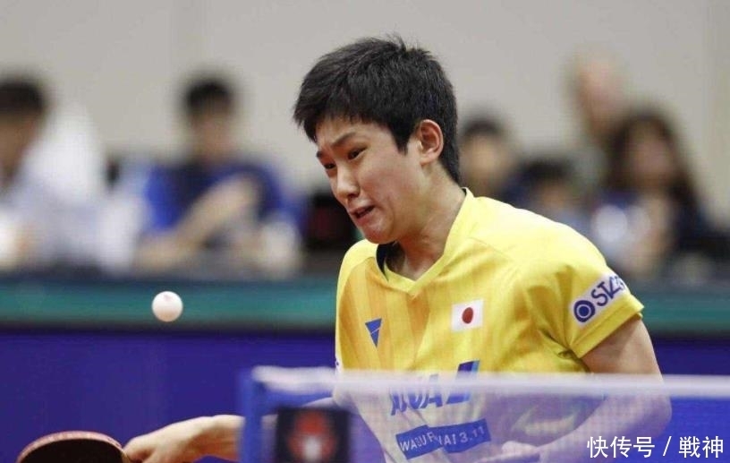 正好弥补了 正好弥补了